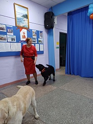 Международный день слепых 13 ноября